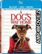 A Dogs Way Home (2019) Hindi Dubbed Movie