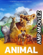Animal (2022) Hindi Dubbed Season 1 Complete Shows
