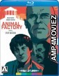 Animal Factory (2000) Hindi Dubbed Movies