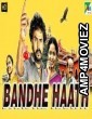Bandhe Haath (Vendru Varuvaan) (2019) Hindi Dubbed Full Movie