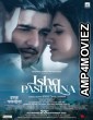 Ishq Pashmina (2022) Hindi Full Movie