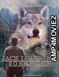 Jack Londons Son of the Wolf (2024) HQ Tamil Dubbed Movie