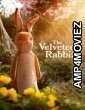 The Velveteen Rabbit (2023) ORG Hindi Dubbed Movies