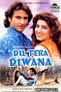 Dil Tera Diwana (1996) Hindi Full Movie