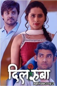 Dilruba (2023) S01 E01 To E03 PrimeFlix Hindi Web Series