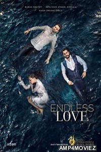 Endless Love (2015) Hindi Season 1 Complete Show