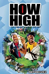 How High (2001) Hindi Dubbed Movie