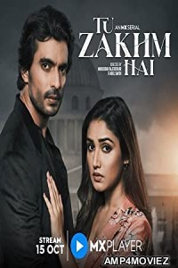 Tu Zakhm Hai (2023) Hindi Season 2 Complete Show