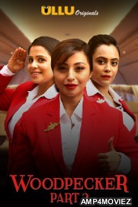 Woodpecker Part 2 (2020) UNRATED Hindi Season 1 Complete Show
